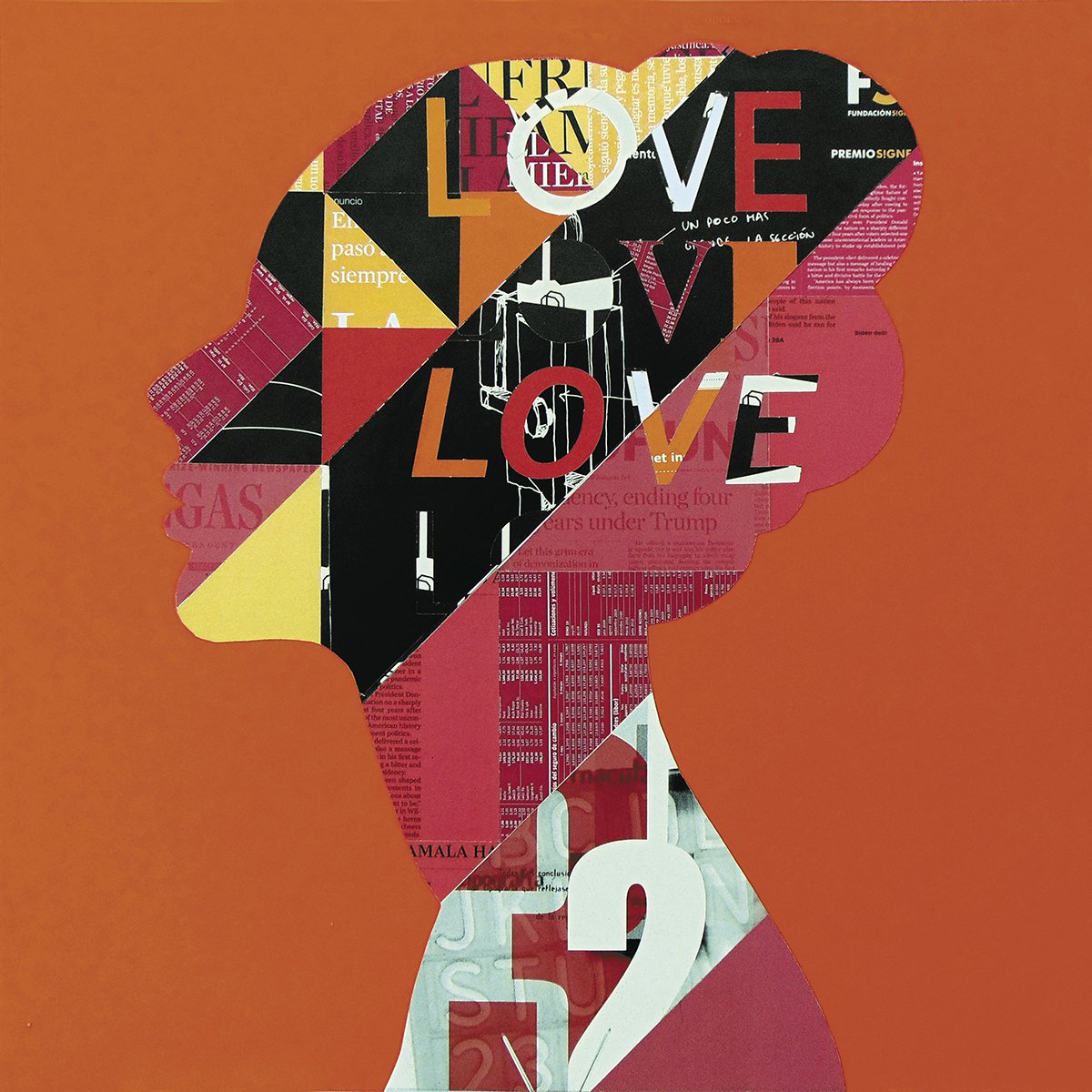 Portrait Collage By Manel Villalonga, 16 X 16", Portrait Orange, Original Artwork