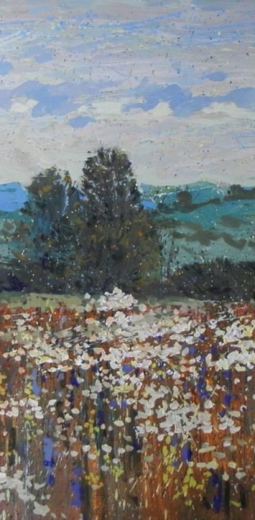 on evening meadow by Sergey  Kachin