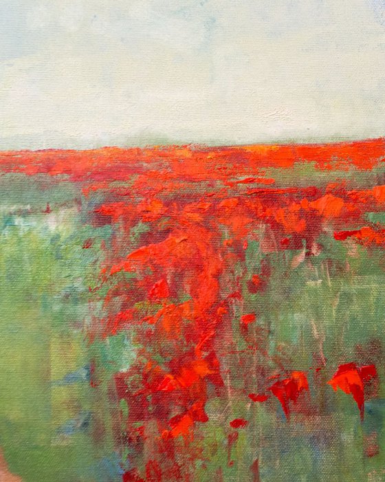Red Poppies 6
