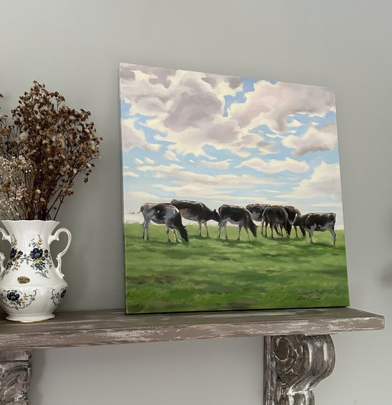 Cows in a field