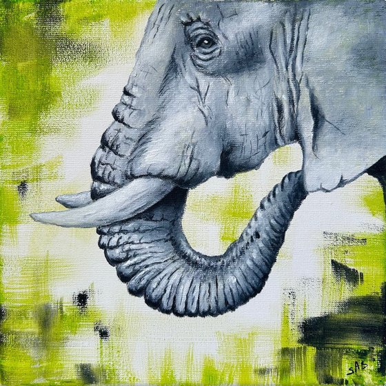 Elephant Green