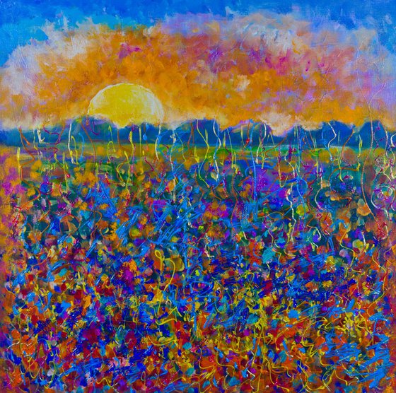 Sunset Over the Flower Field