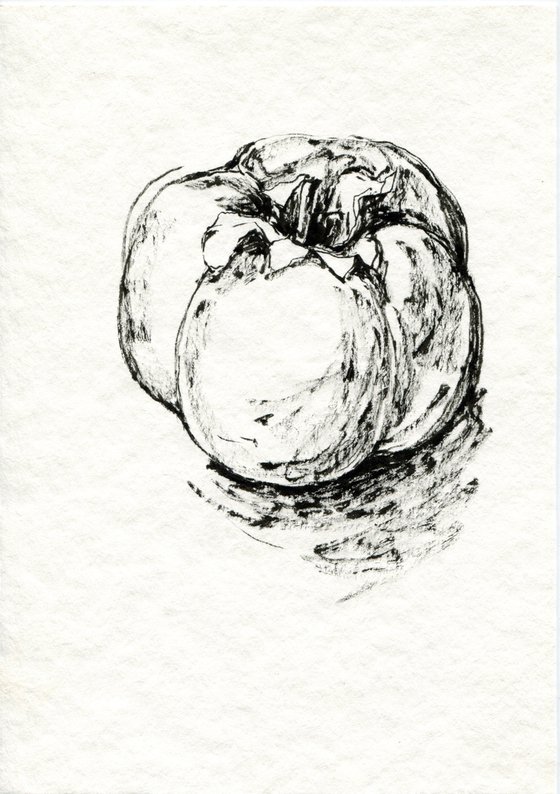 ink persimmon sketch