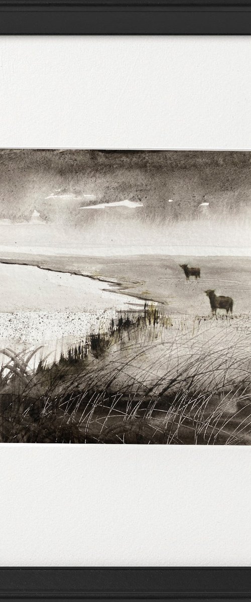 Monochrome Highland Cattle Marshes framed by Teresa Tanner