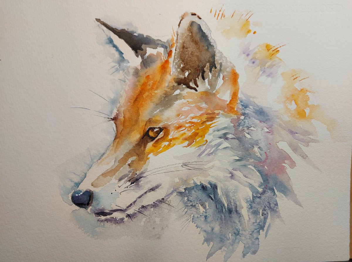 Fox I watercolour by Sue Green