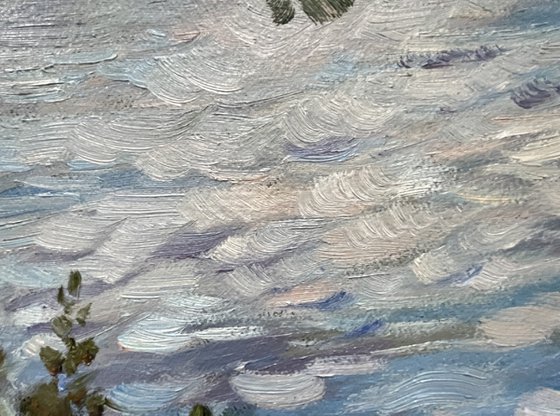 Pines on the island