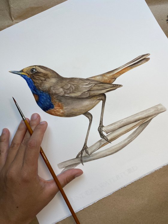 The Power of Intention