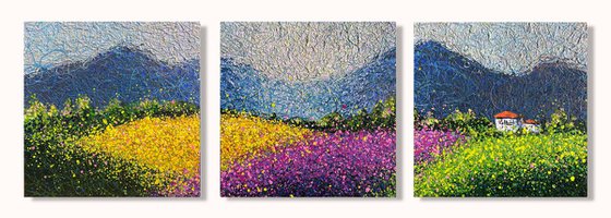 A Place Called Serenity - triptych