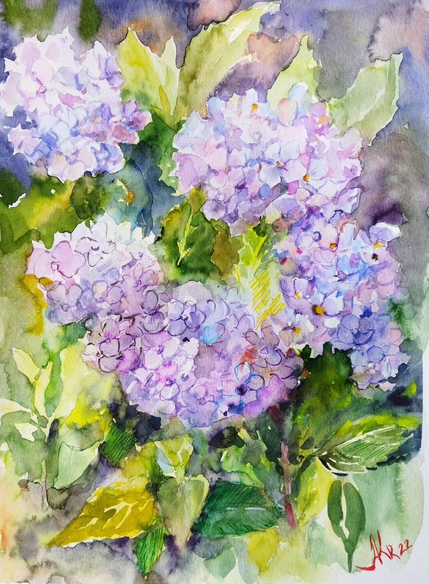 Blue Hydrangeas Art 9 by 12 inches by Ann Krasikova