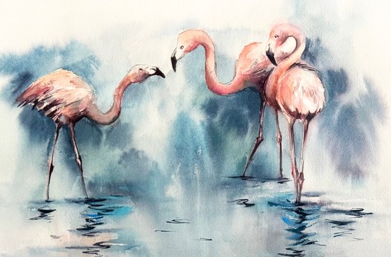 Flamingos