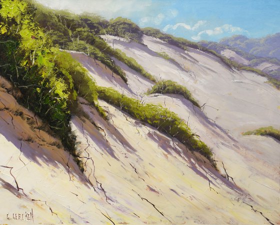 Coastal Sand Dunes