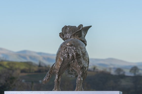 French Bulldog Lifting Paw BR