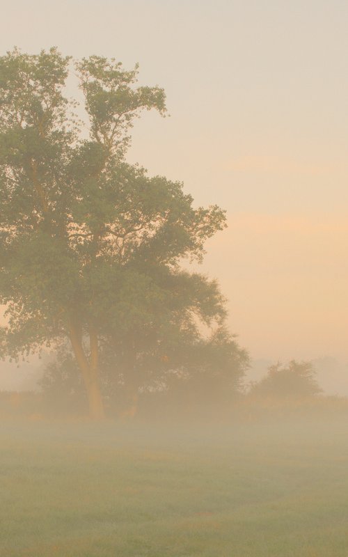 foggy landscape 6 by Jochim Lichtenberger