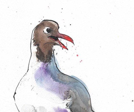 Black Headed gull #02