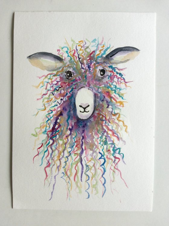 Rainbow Sheep