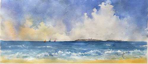 Farne Islands from Seahouses by Brian Tucker