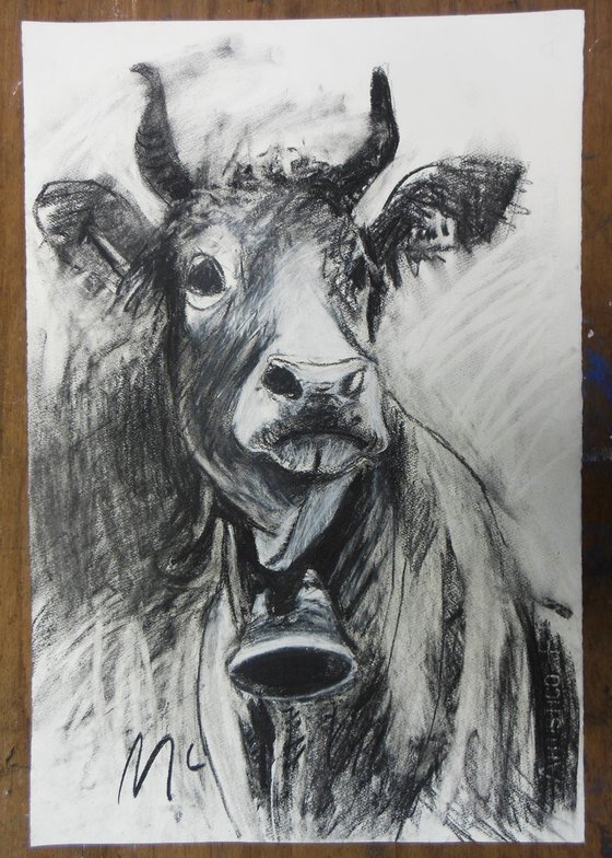 Swiss Cow Drawing I