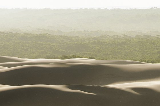 Rolling Hills of Sand