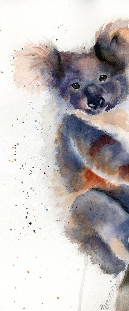 koala by Olga Tchefranov (Shefranov)