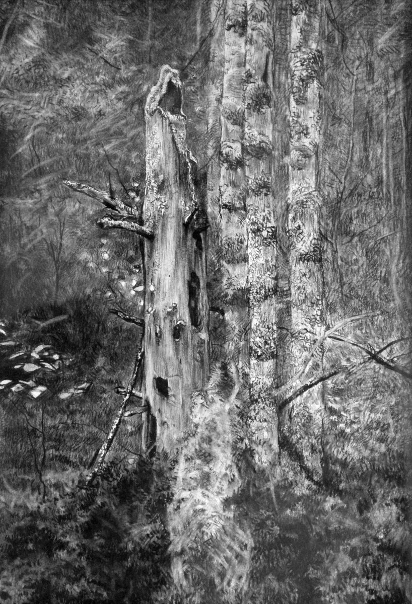 Dead tree by Simon Kozhin