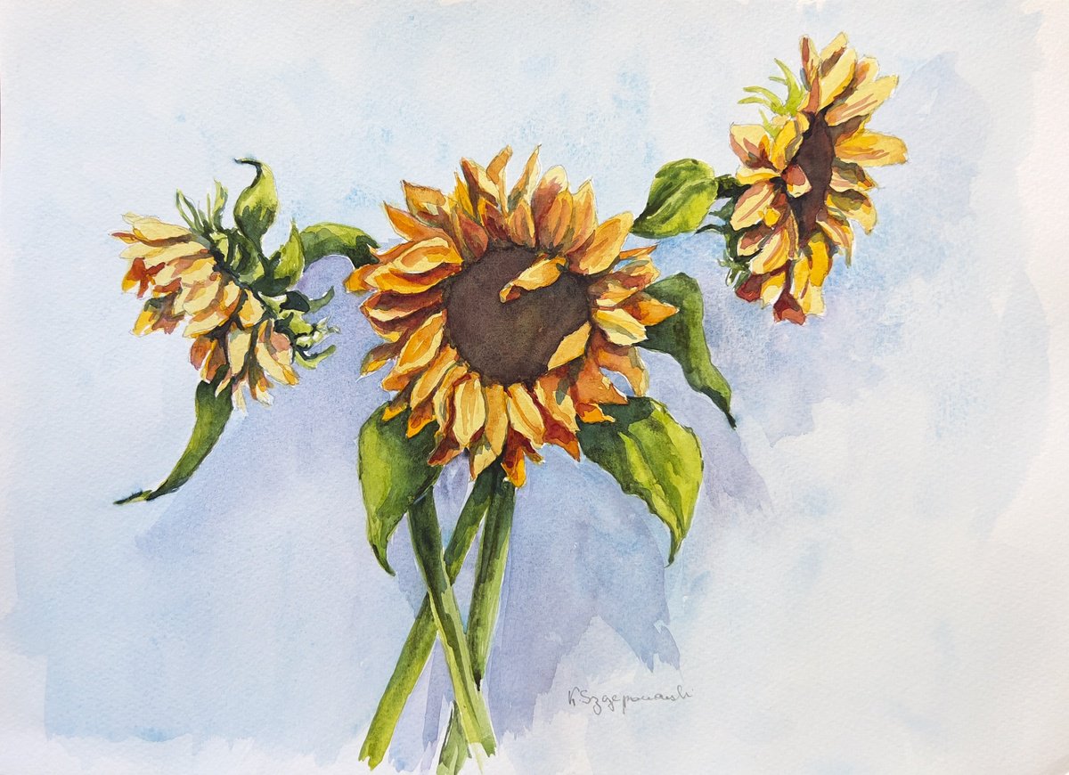 Impressionistic Botanical Watercolour By Krystyna Szczepanowski, 14 X 10", Sunflowers, Original Artwork