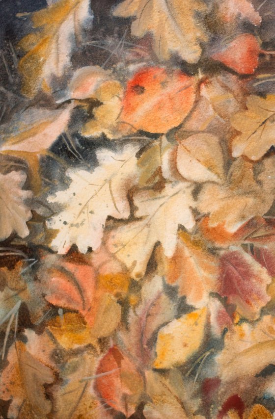 Autumn leaves underfoot