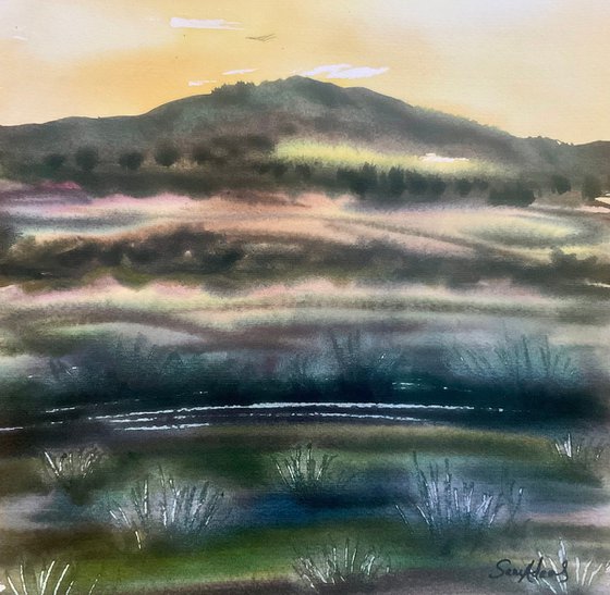 Creech Barrow hill, Dorset