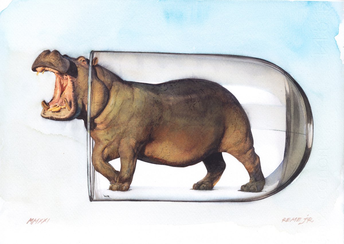 Hippopotamus in Glass X by REME Jr.