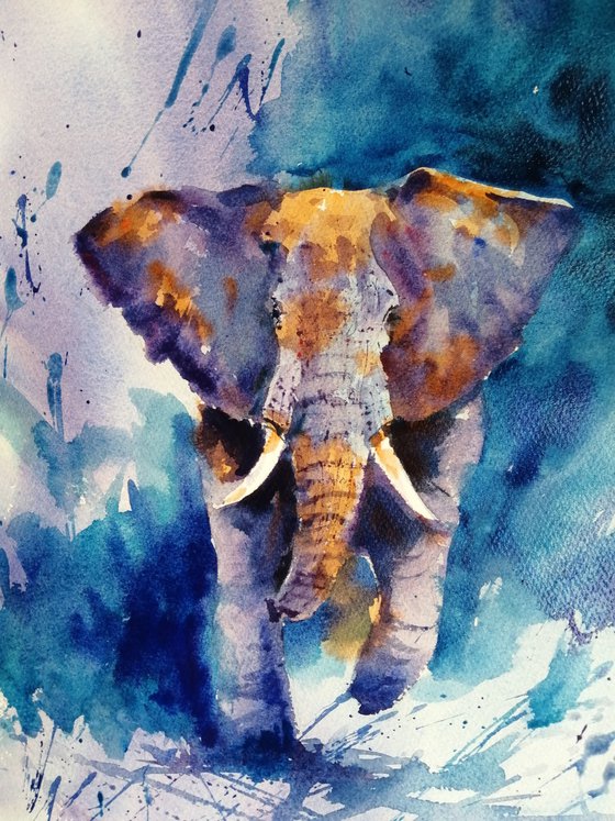 elephant 17