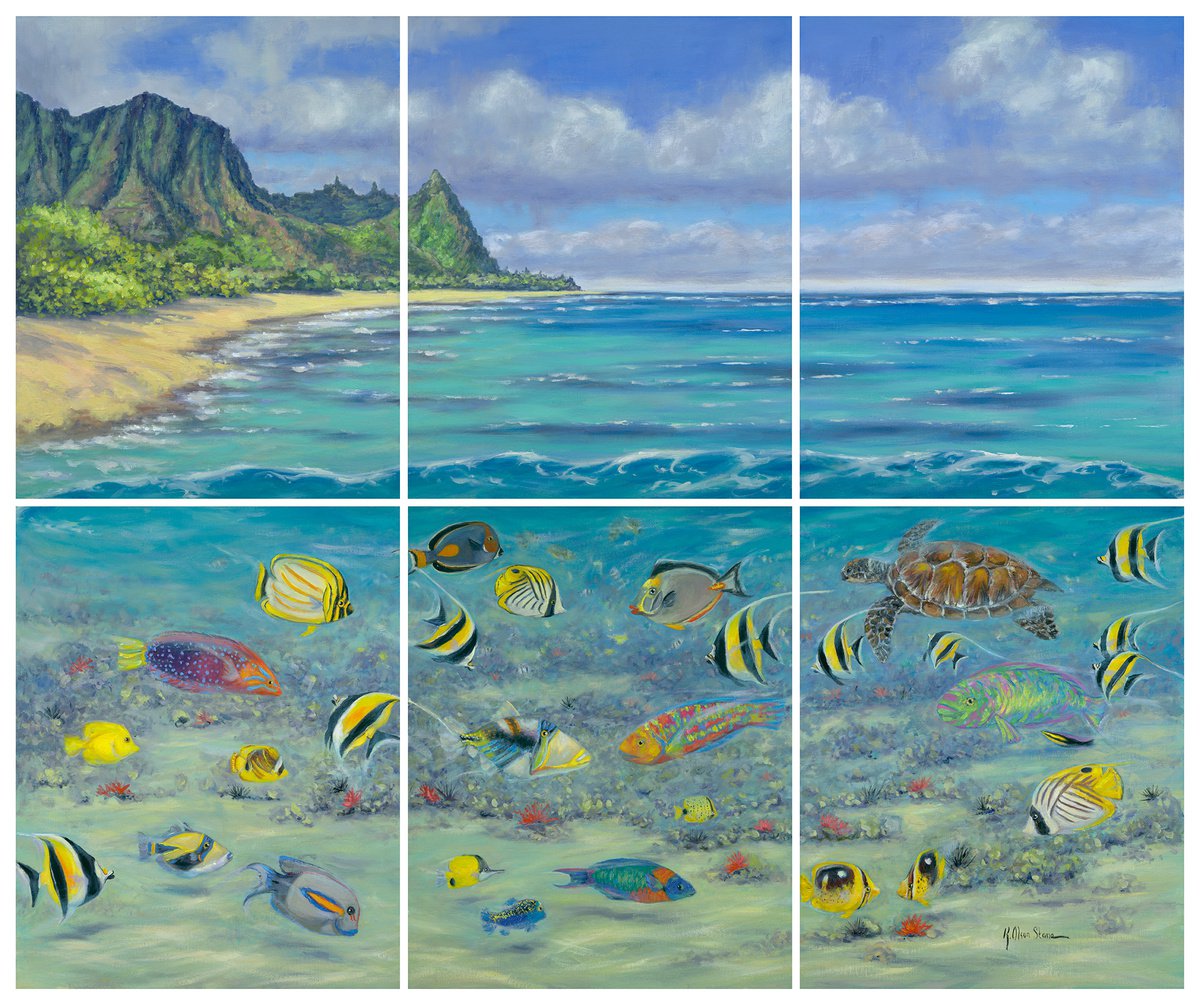 Snorkeling In Hawaii by Kristen Olson Stone
