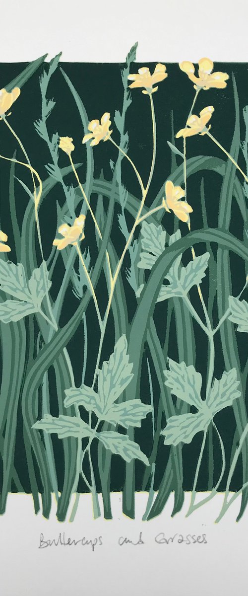 Buttercups and grasses by Gerry Coles