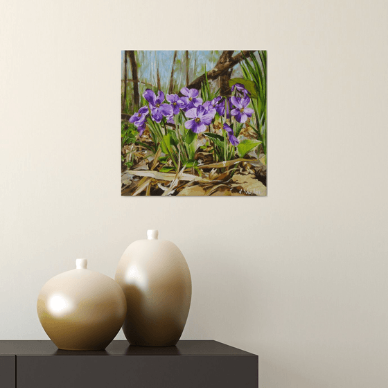 Spring Violets on Forest Floor