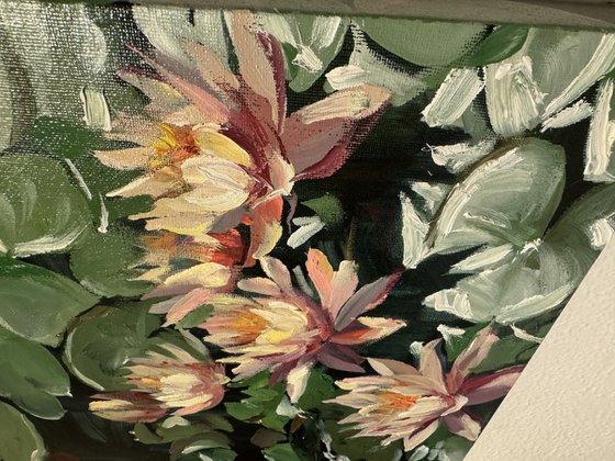 Lotus