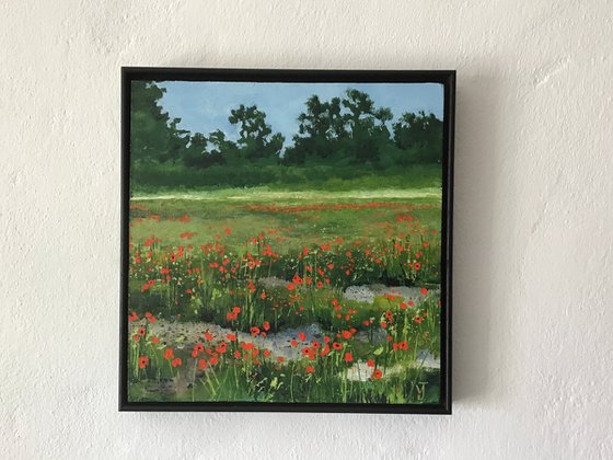 Poppy Field