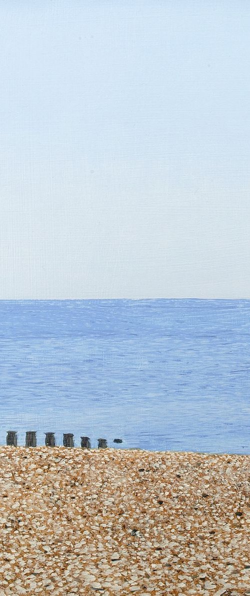 Stone Beach by Christopher Witchall