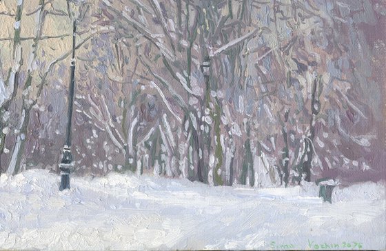 Maple Alley in January