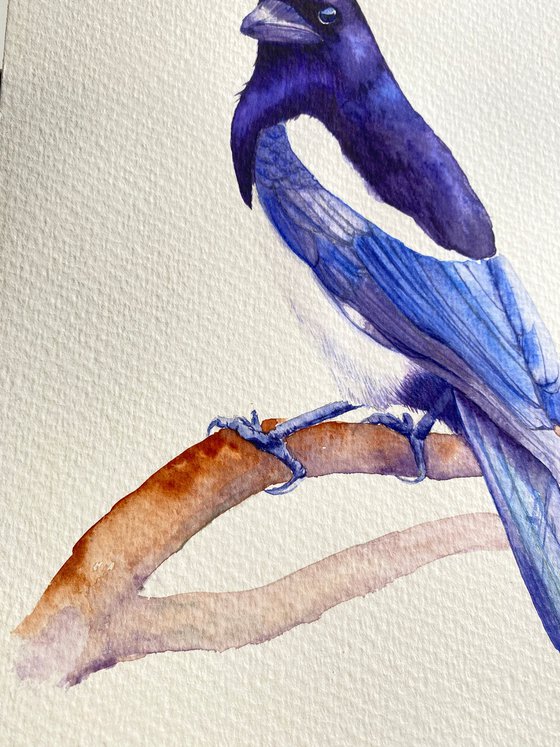 Watercolour bird magpie sitting on a branch in the rays of the sun 3