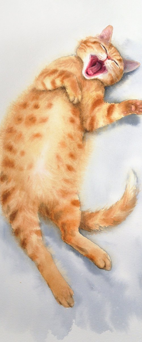 Yawning Ginger Cat by Olga Beliaeva Watercolour