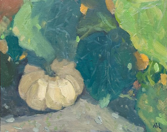 The Pumpkin Patch