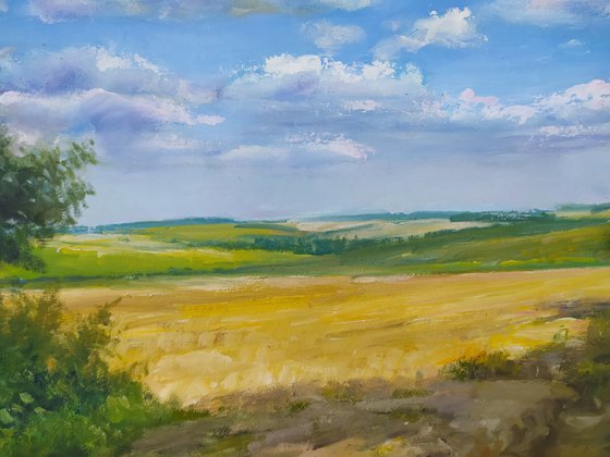 Ukrainian landscape