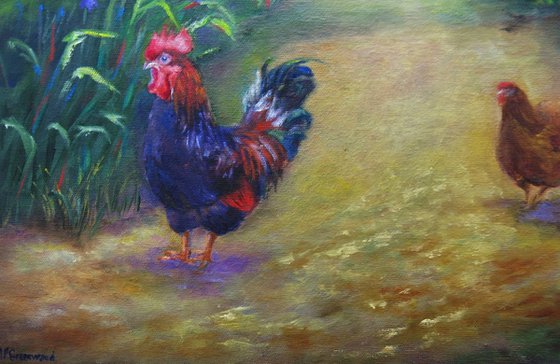 Rooster`s Day Out