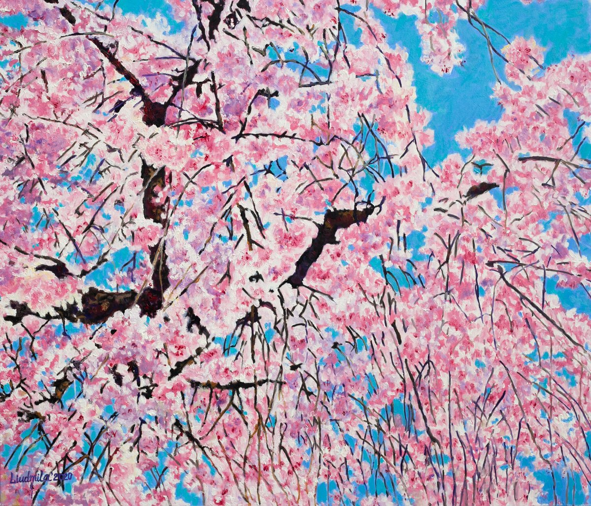 Pink Cherry Blossom By Liudmila Pisliakova, 28 X 24, Artwork For Sale On Artfinder