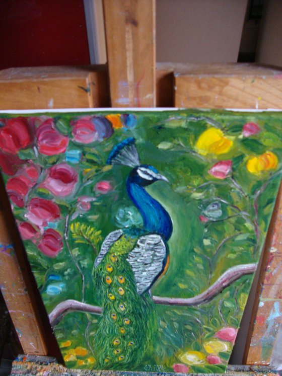 Mr. Peacock