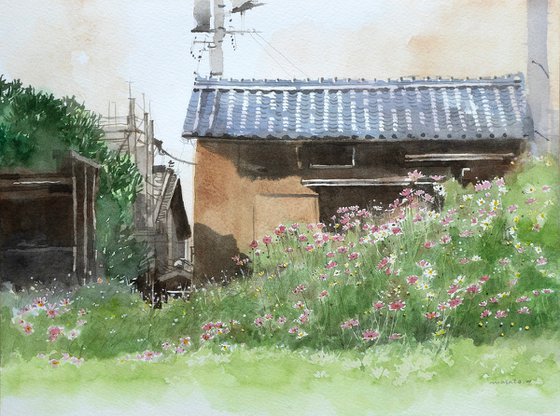 Autumn Cosmos and the Old House