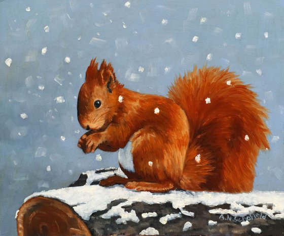 Red squirrel, winter scene