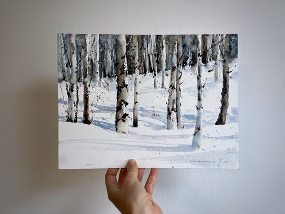 Winter Birch Grove #2