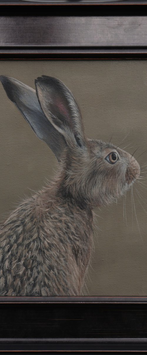 Portrait of a Hare II by Alex Jabore