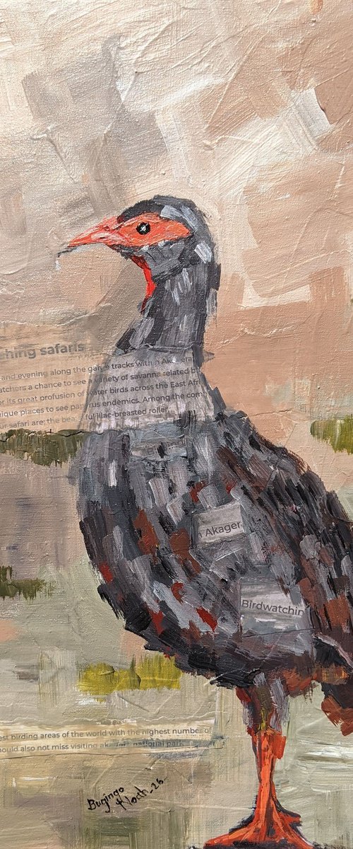 INKWARE (RED FRANCOLIN) by BUGINGO Noah