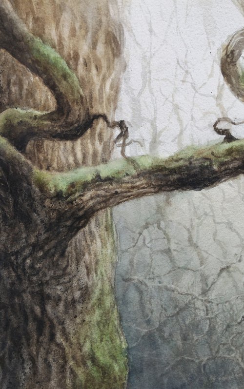 Old oak tree by Olga Beliaeva Watercolour
