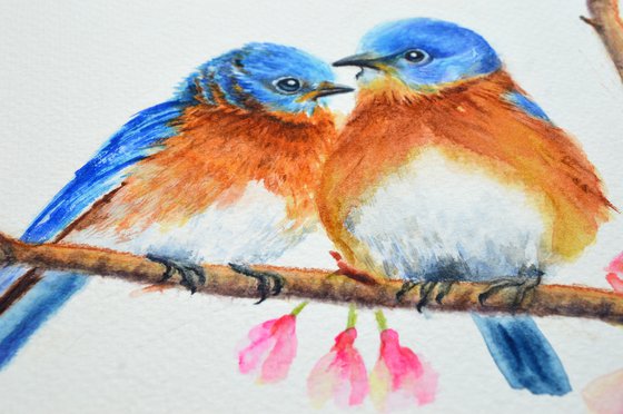 A pair of Blue birds - (ii)